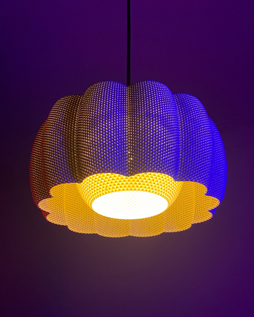 ARA Modern Pendant Light