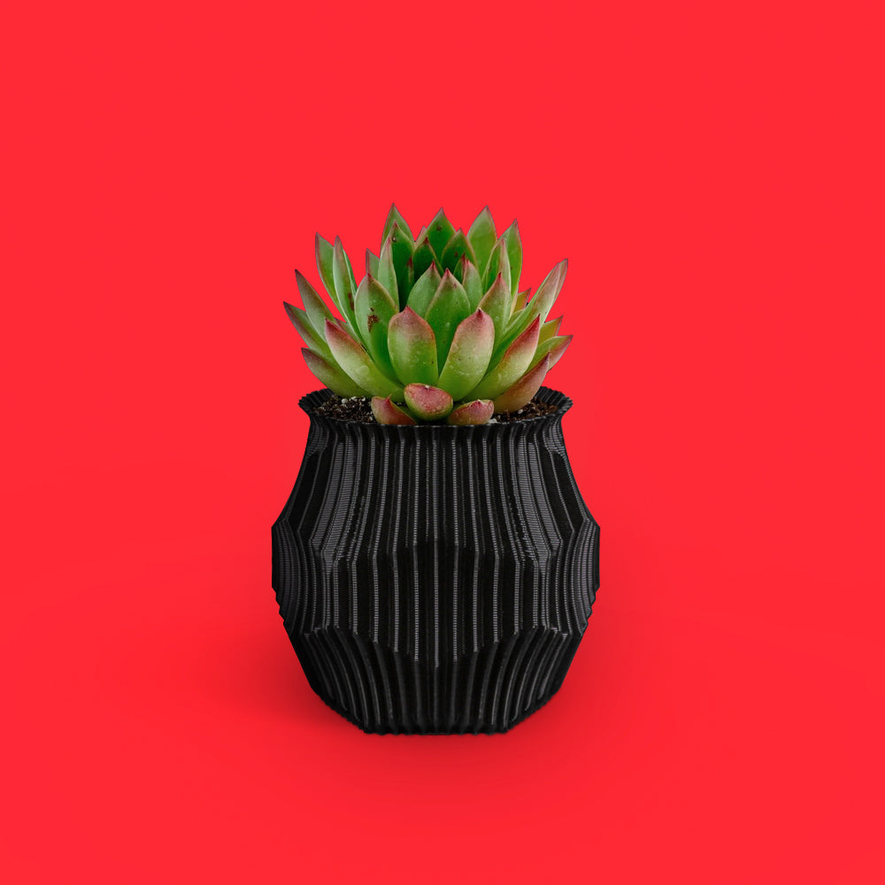 Hexa Planter Pot